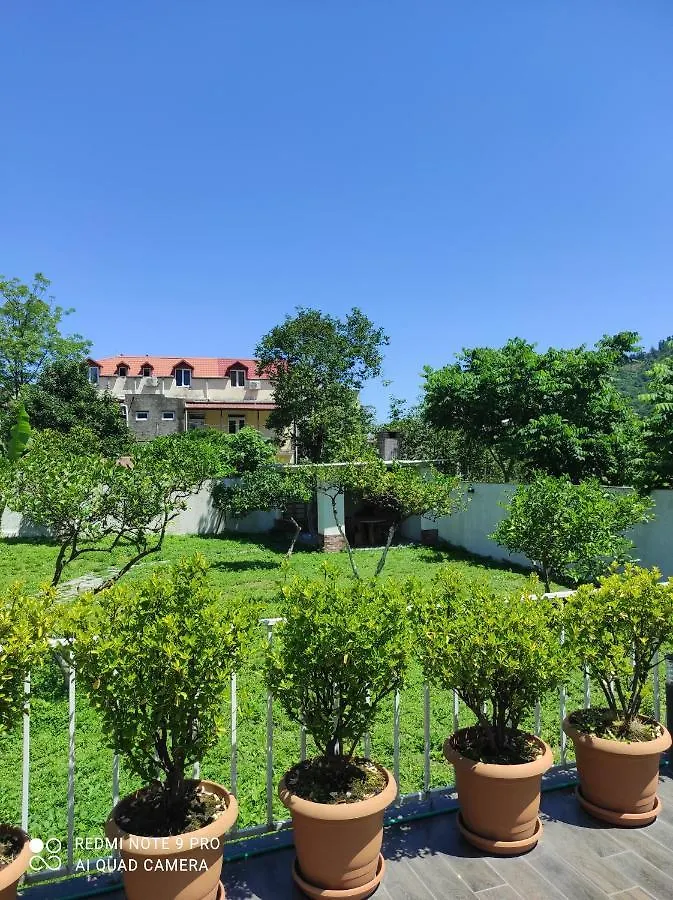 Gold Guest House Gonio