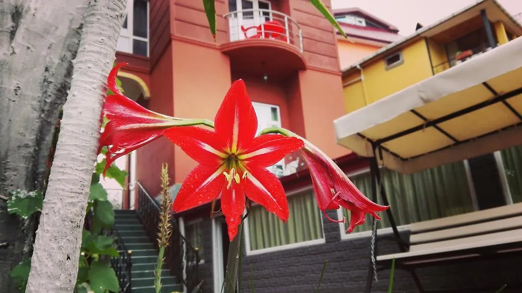 Gold Guest House Gonio