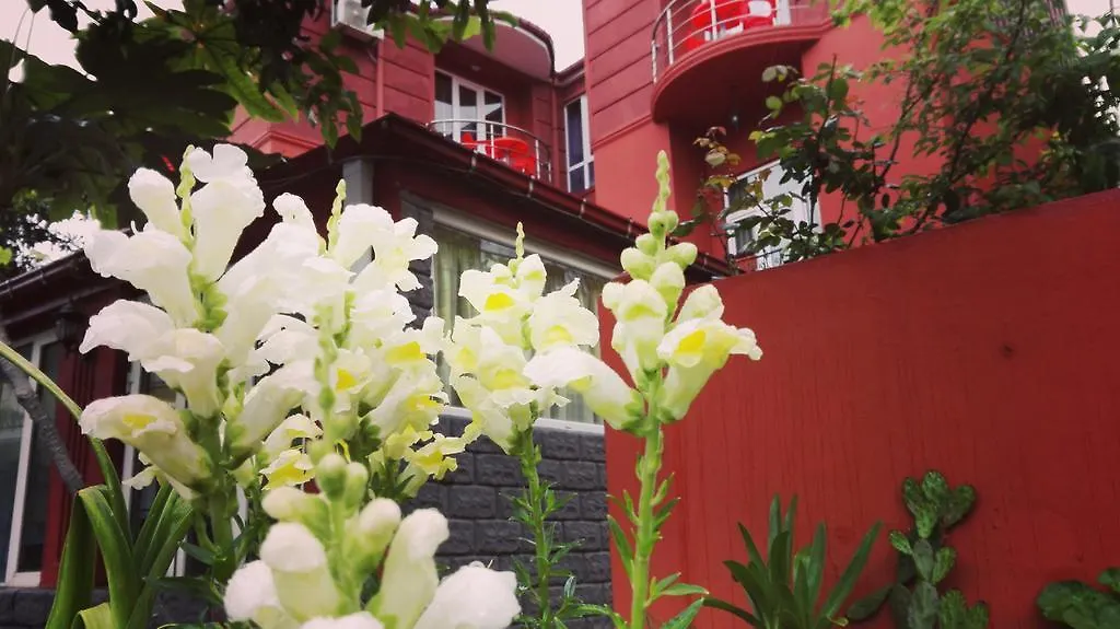 Gold Guest House Gonio